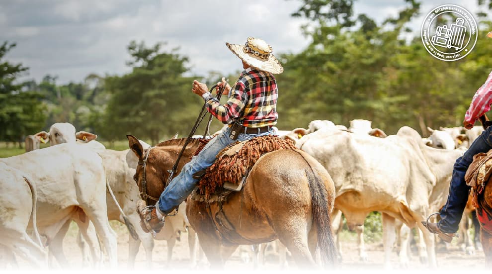 Vuela al Festival mundial del Arraigo Llanero en Yopal del 22 al 27 de julio del 2026