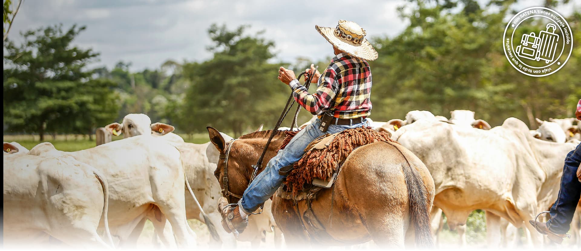 Vuela al Festival mundial del Arraigo Llanero en Yopal del 22 al 27 de julio del 2026