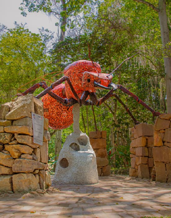 Imagen de referencia ruta BGA-LPZ