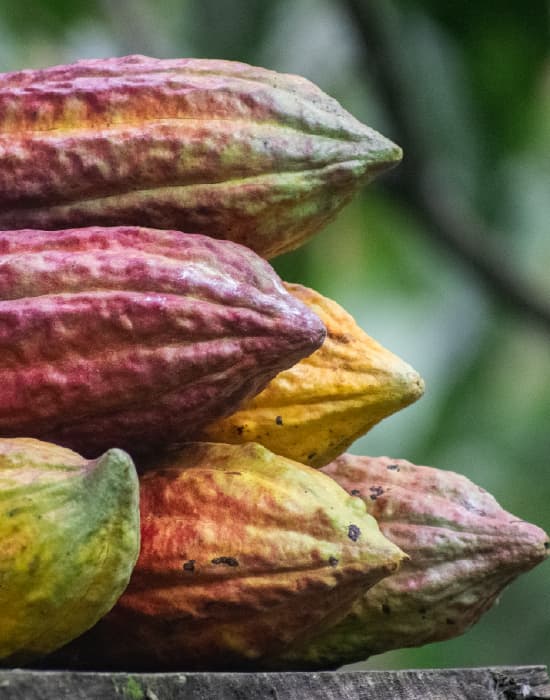 Imagen de referencia ruta BOG-AUC