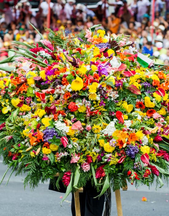 Imagen de referencia ruta BOG-EOH