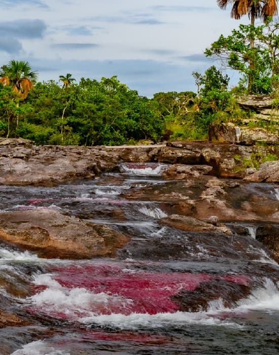 Imagen de referencia ruta BOG-LMC