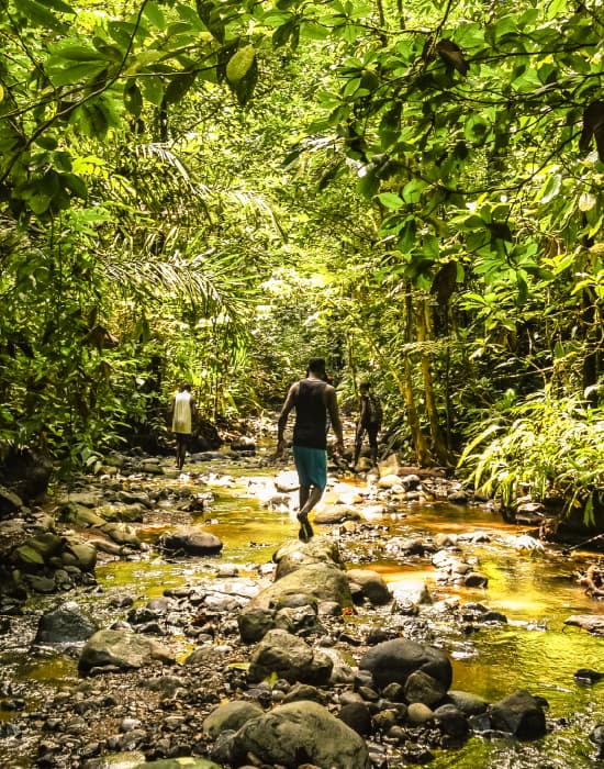 Paisaje de referencia de Cali