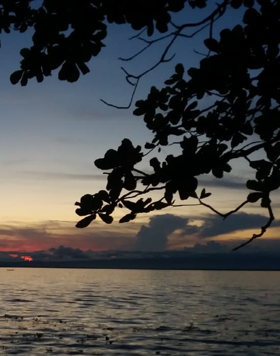 Imagen de referencia ruta EOH-APO