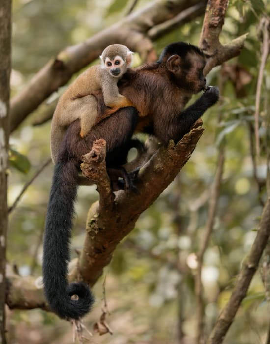 Imagen de referencia ruta LCR-LET