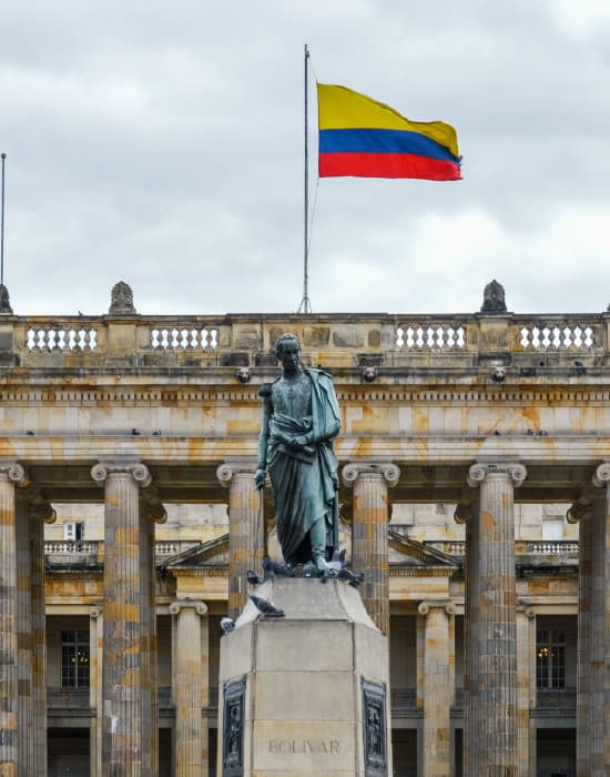 Imagen de referencia ruta PCR-BOG