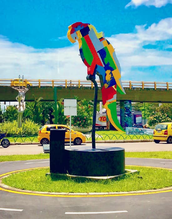 Imagen de referencia ruta PCR-VVC