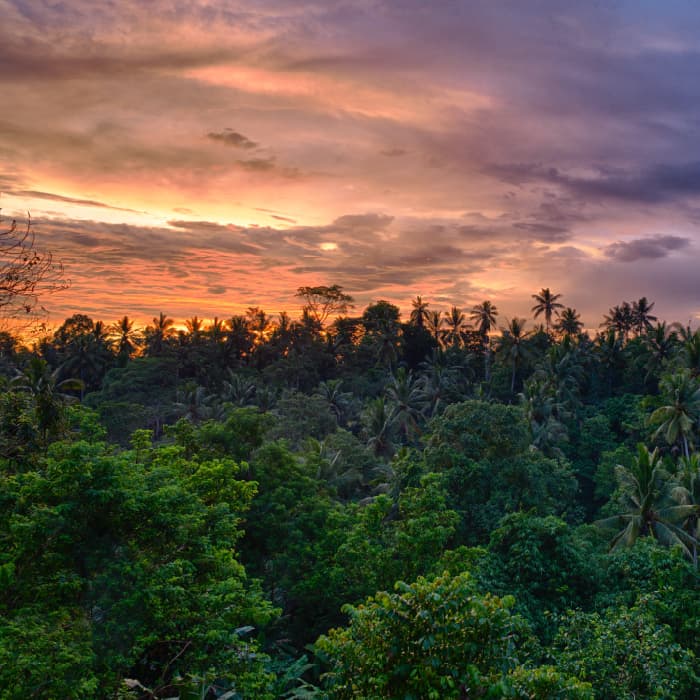 Paisaje de Puerto Asís