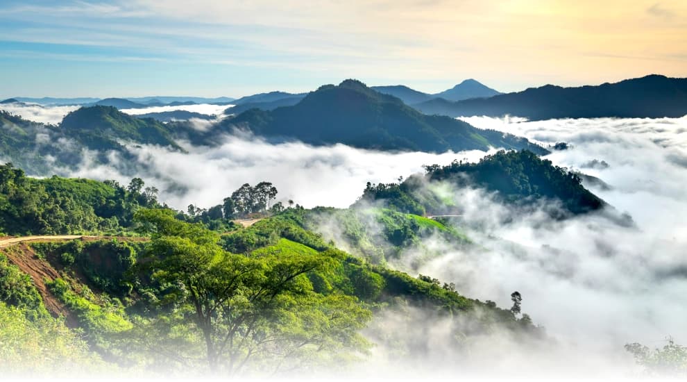 Banner vuelos nacionales