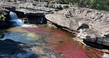 Caño Cristales