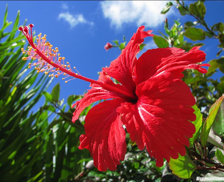 Paisaje Barranquilla 3