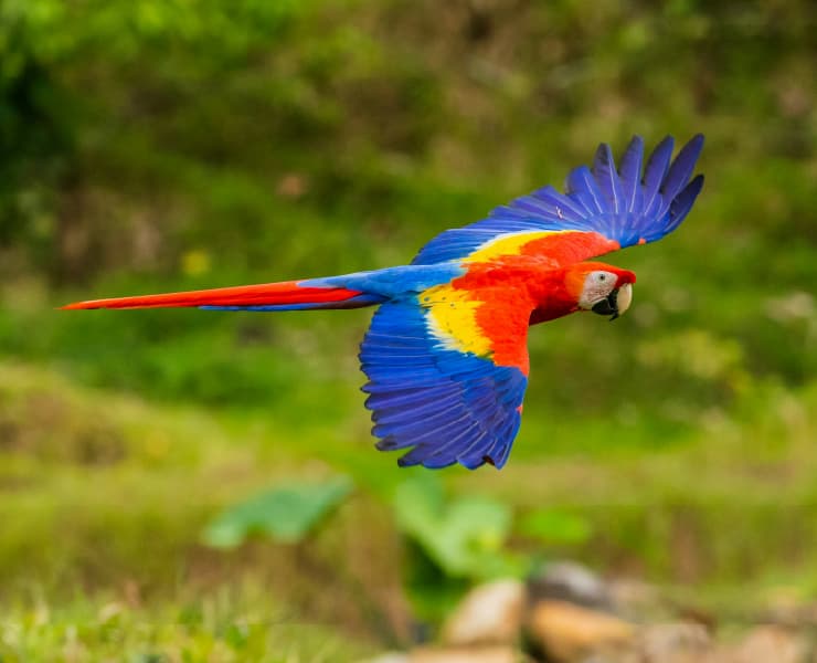 Paisaje La Pedrera 3