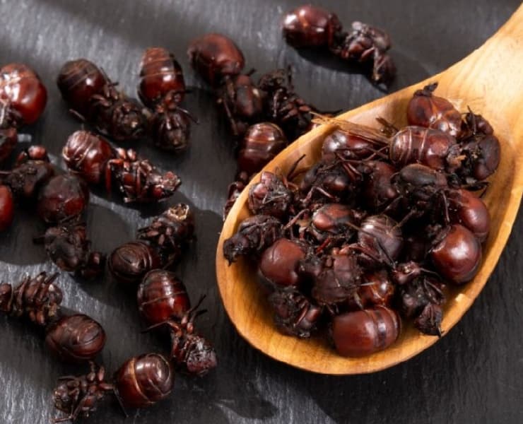 Plato tipico de San Gil