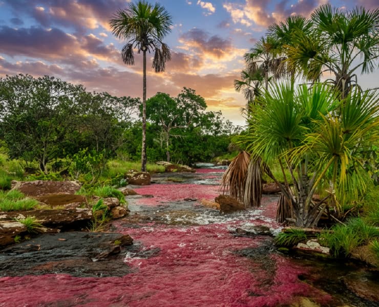 Landscape of San José del Guaviare 1