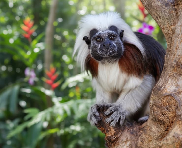 Landscape of San José del Guaviare 3