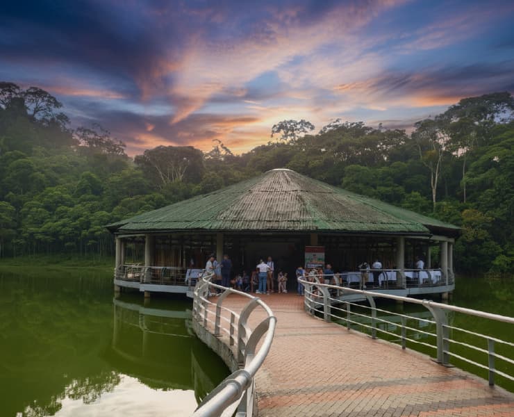 Paisaje Villagarzón 1