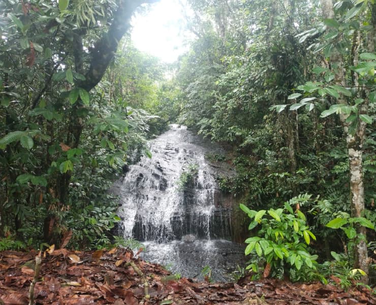 Paisaje Villagarzón 2