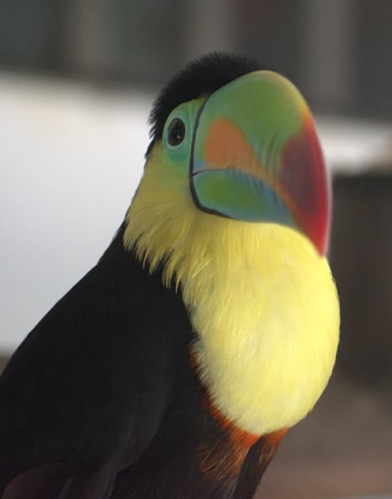 Paisaje de referencia de Bogotá