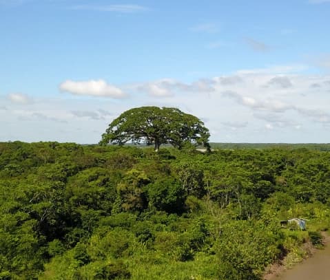 Paisaje de Bahía solano