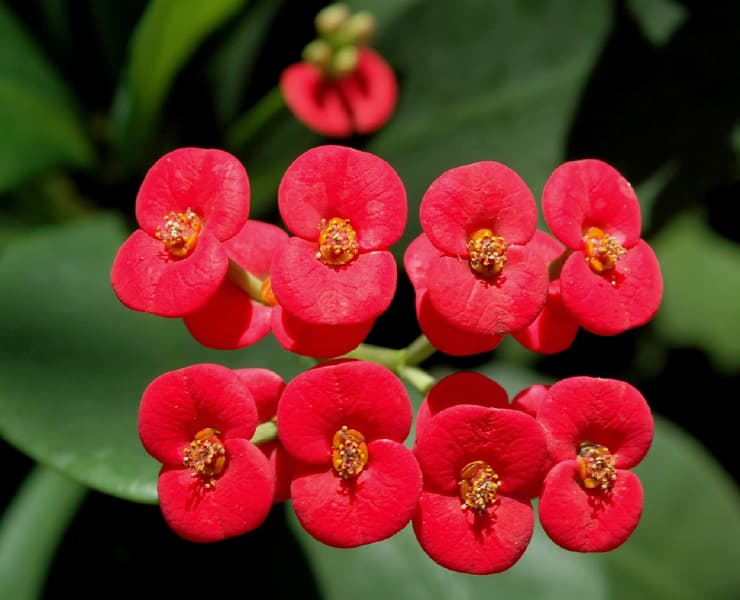 Paisaje Bucaramanga 2