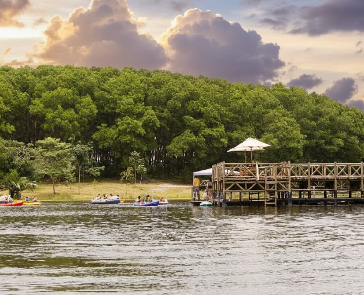 Planes en Montelíbano